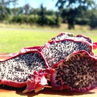 Dried Dragon Fruit Slices