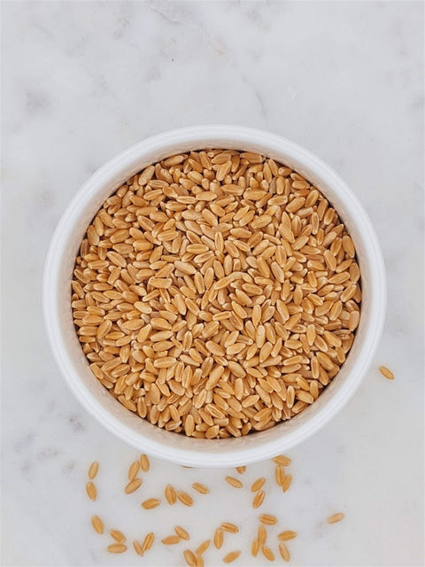 Spelt Seed