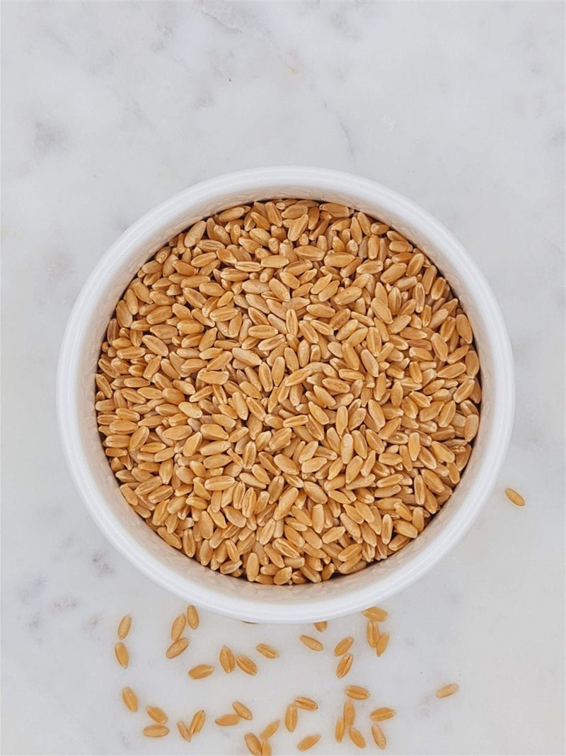 Spelt Seed